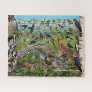 Backyard Birds of Vermont Jigsaw Puzzle