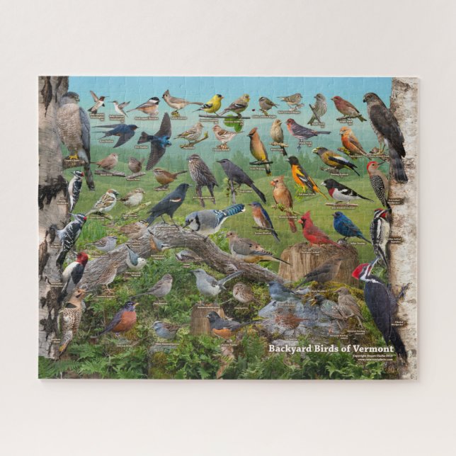 Backyard Birds of Vermont Jigsaw Puzzle (Horizontal)