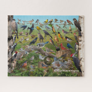 Backyard Birds of Virginia Jigsaw Puzzle