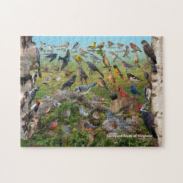 Backyard Birds of Virginia Jigsaw Puzzle (Horizontal)