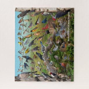 Backyard Birds of West Virginia Jigsaw Puzzle
