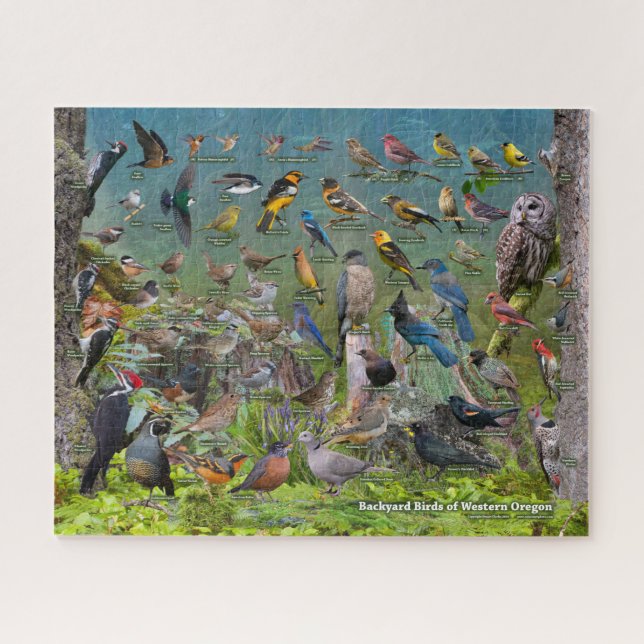 Backyard Birds of Western Oregon Jigsaw Puzzle (Horizontal)
