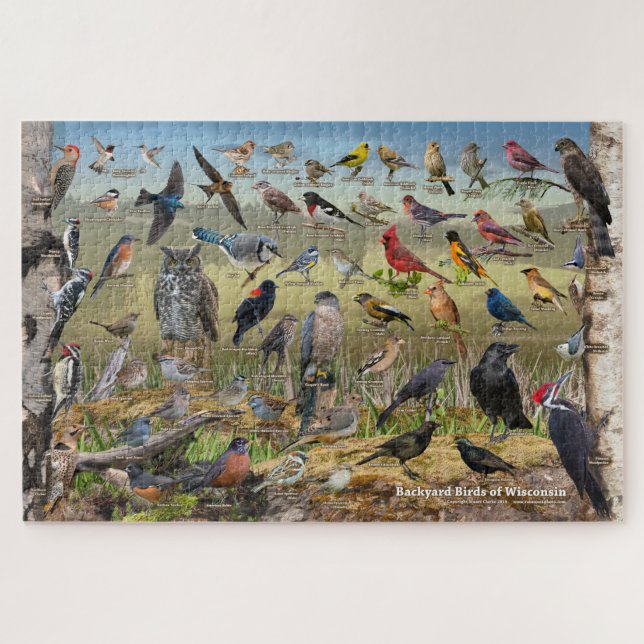 Backyard Birds of Wisconsin Jigsaw Puzzle (Horizontal)