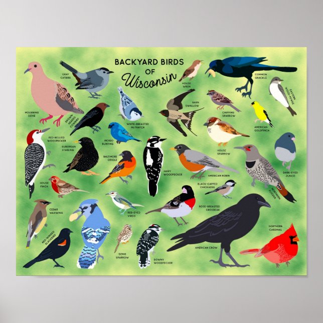 Backyard Birds of Wisconsin Poster (Front)