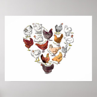 Backyard Chicken Love Heart  Crazy Chicken Breed Poster