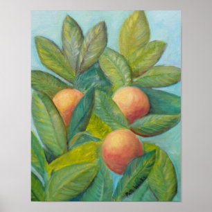 BACKYARD FLORIDA ORANGES Poster