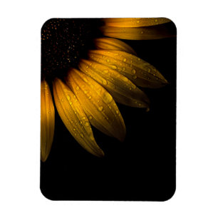 Backyard Flowers 28 Sunflower Magnet