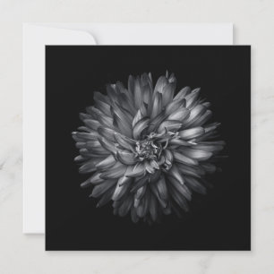 Backyard Flowers In Black And White 20