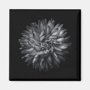 Backyard Flowers In Black And White 20 Magnet