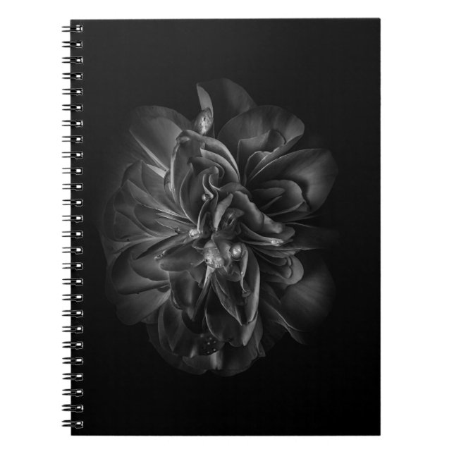 Backyard Flowers In Black And White 67 Notebook (Front)