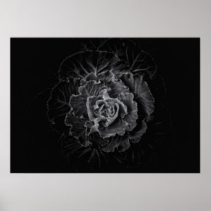 Backyard Flowers In Black And White No 100 Poster