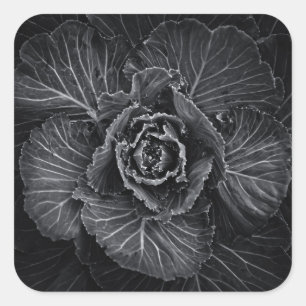 Backyard Flowers In Black And White No 108 Square Sticker