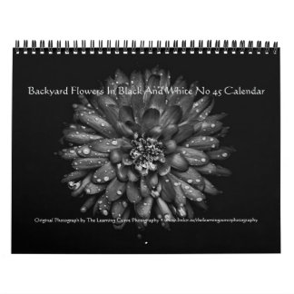 Backyard Flowers In Black And White No 45 Calendar