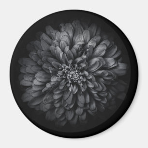 Backyard Flowers In Black And White No 68 Magnet