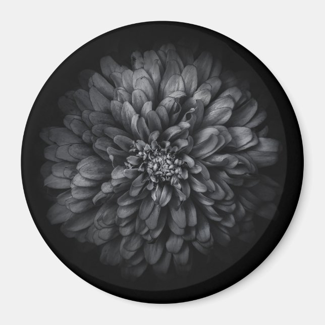 Backyard Flowers In Black And White No 68 Magnet (Front)
