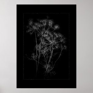 Backyard Flowers In Black And White No 87 Border Poster