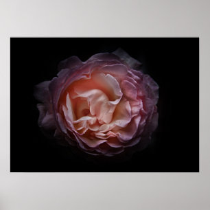 Backyard Flowers No 106 Color Version Poster
