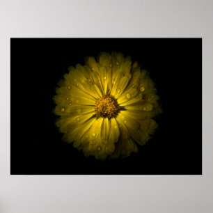 Backyard Flowers No 10 Colour Version Poster
