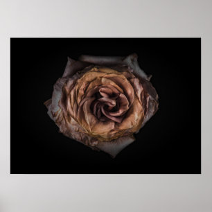Backyard Flowers No 139 Colour Version Poster