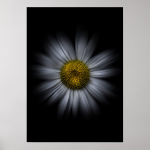 Backyard Flowers No 13 Colour Flow Version Poster