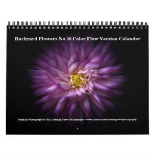 Backyard Flowers No 20 Colour Flow Version Calendar