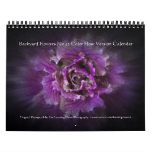 Backyard Flowers No 42 Colour Flow Version Calendar