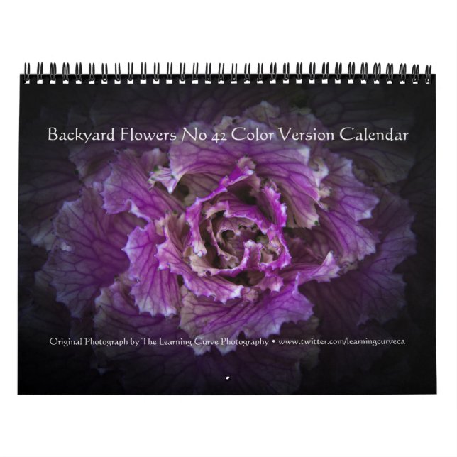 Backyard Flowers No 42 Colour Version Calendar (Cover)