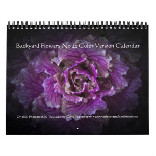 Backyard Flowers No 42 Colour Version Calendar