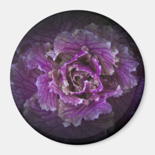 Backyard Flowers No 42 Colour Version Magnet