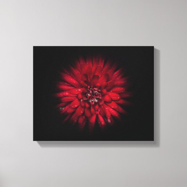 Backyard Flowers No 45 Colour Flow Version Canvas Print (Front)