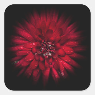 Backyard Flowers No 45 Colour Flow Version Square Sticker