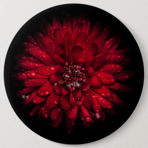 Backyard Flowers No 45 Colour Version 6 Cm Round Badge