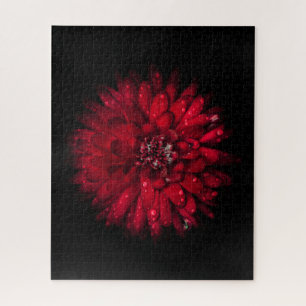 Backyard Flowers No 45 Colour Version Jigsaw Puzzle