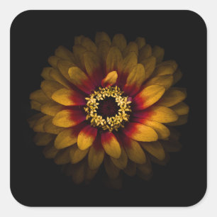 Backyard Flowers No 69 Colour Version Square Sticker