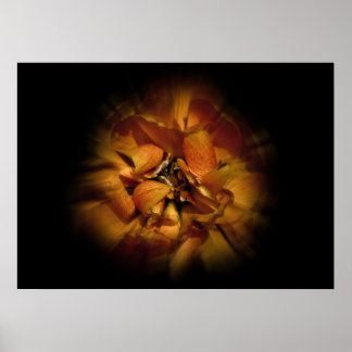 Backyard Flowers No 80 Color Flow Version Poster