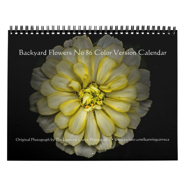 Backyard Flowers No 86 Colour Version Calendar (Cover)
