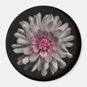 Backyard Flowers No 91 Colour Version Magnet