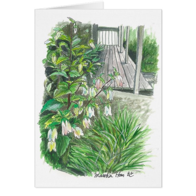 Backyard garden (Front)