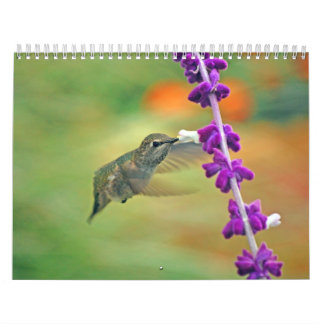 Backyard Hummingbird Calendar