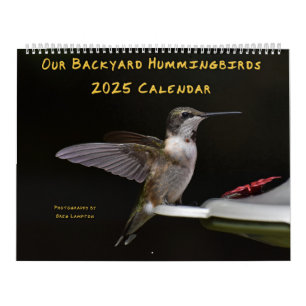 Backyard Hummingbirds 11” x 14.25” Calendar