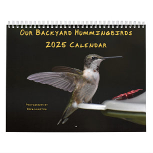 Backyard Hummingbirds 8.5” x 11” Calendar