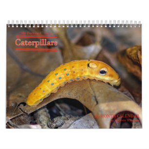 Backyard Series Caterpillars Calendar