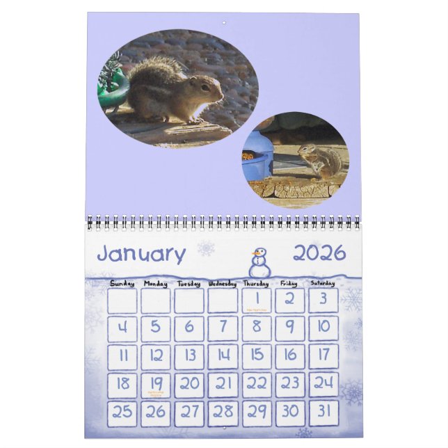 BACKYARD VISITORS CALENDAR (Jan 2026)