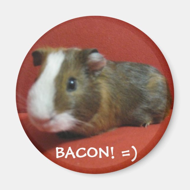 bacon, BACON! =) Magnet (Front)
