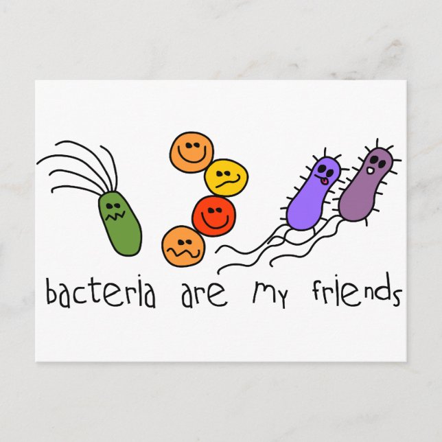 Bacteria are my friends postcard (Front)
