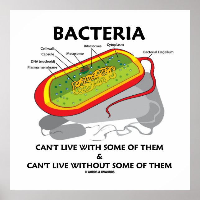 Bacteria Can't Live With Some Of Them Can't Live Poster (Front)