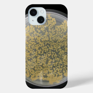 Bacteria Culture Plate Covered with Colonies iPhone 15 Case