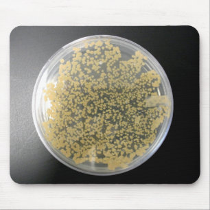 Bacteria Culture Plate Mousepad