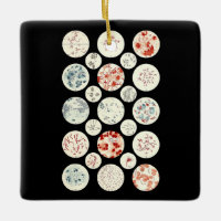bacteria funny microbiology bacteria science tiny