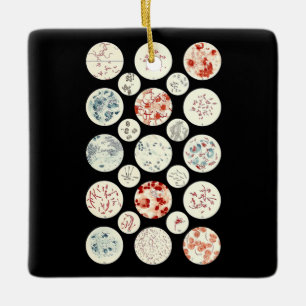 bacteria funny microbiology bacteria science tiny ceramic ornament